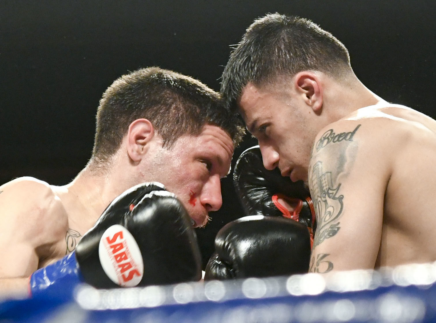 011020 WFC 120 boxing 24.jpg